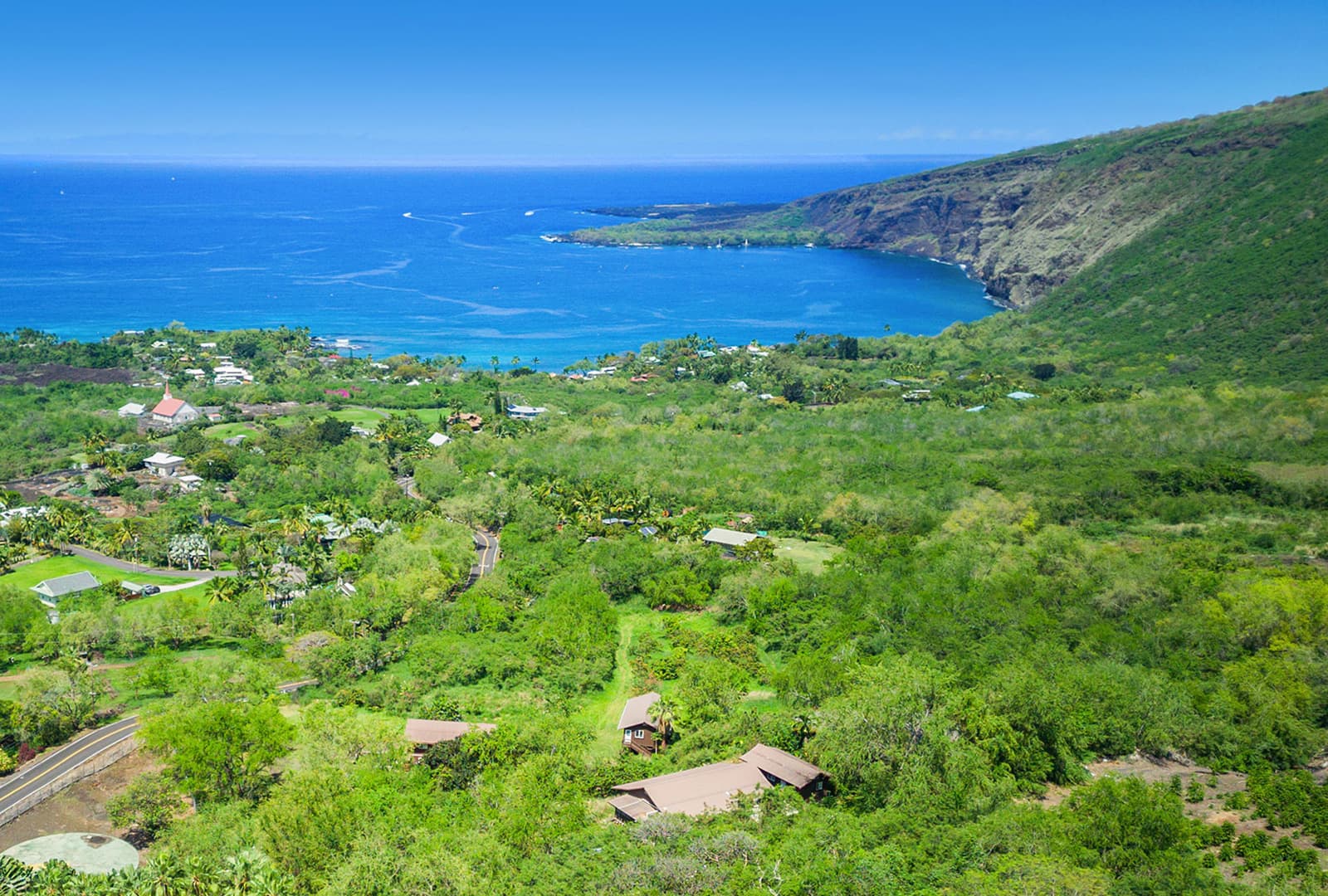 A scenic view of lush greenery and a tranquil blue coastline under a clear sky.