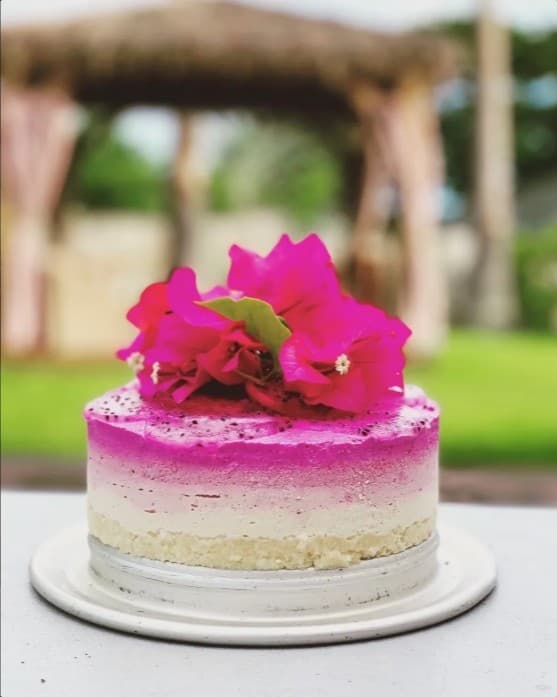A colorful cake topped with vibrant pink flowers sits on a white plate.