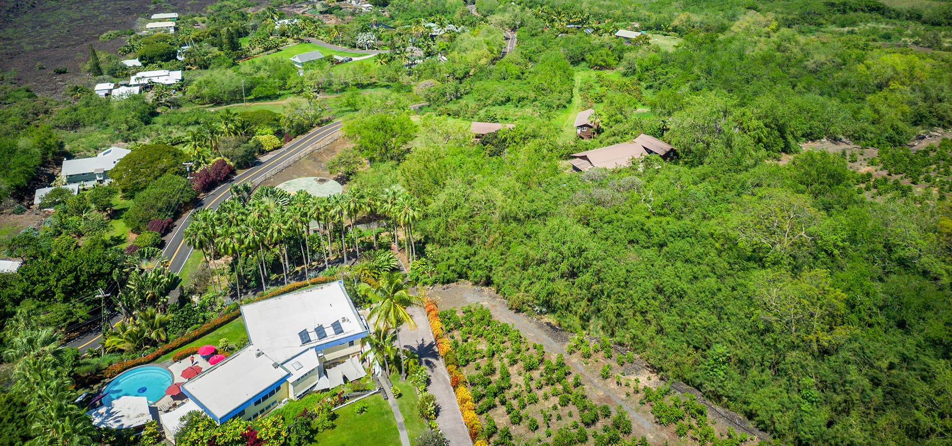 Aerial view of a lush, green landscape featuring a house with a pool and surrounding gardens.