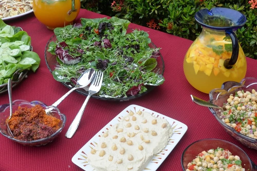 A colorful outdoor table spread featuring a fresh salad, hummus, and assorted side dishes with a pitcher of juice.